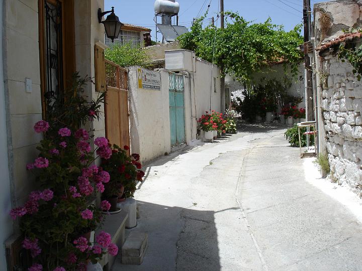 DSC02934 - Troodos Omodos